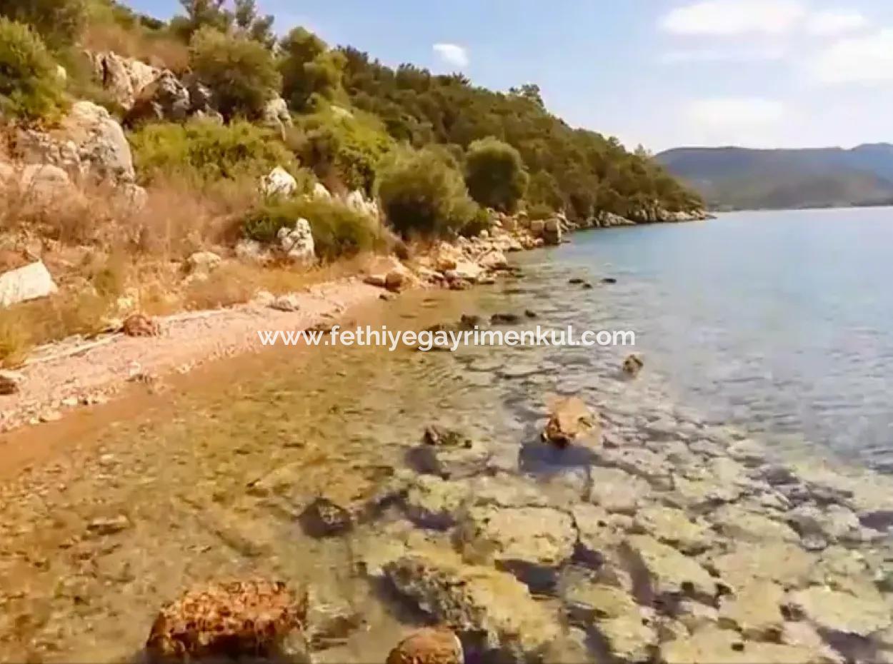 Die Zum Verkauf Stehende Insel Im Golf Von Gökova Im Bezirk Marmaris Hat Eine Grundstücksfläche Von 365000M2 Und Es Befindet Sich Ein Eingetragenes Haus Darin.