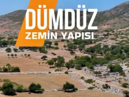 783M2 Land Zum Dringenden Verkauf Im Viertel Marmaris Taşlıca