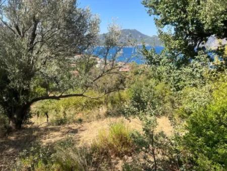 Grundstück Zum Verkauf In Marmaris Selimiye Nachbarschaft Mit Meerblick 5200M2, Geeignet Für Den Bau Von 2 Villen Oder Hotelbau