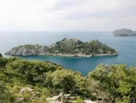 81000M2 Insel Zum Verkauf In Marmaris Region 31000M2 Eigentumsurkunde Offizieller Strom Wasser Verfügbar Herrenhaus Mit Legalem Haus Darin