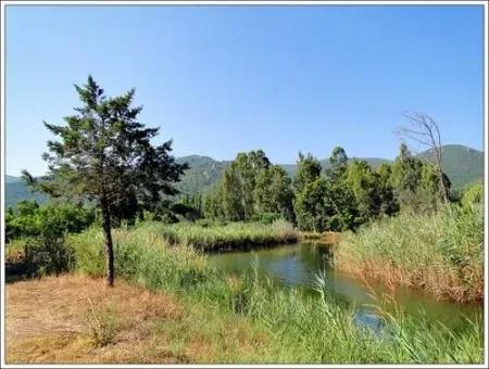 Urgent For Sale Plot In The Village Of 25.000 M2 Glazed Marmaris