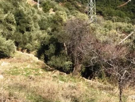 Land For Sale With Sea View With 52000M2 Parcel In Mugla Province Datca District Masoudye Neighborhood