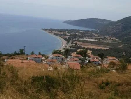 4400 M2 Land For Sale Suitable For The Construction Of 19 Catalyst Deeds In Milas Bozalan