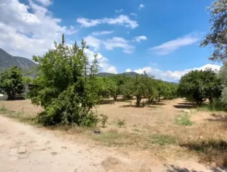 13000M2 Farmhouse Suitable To Be A Boutique Hotel 3 Km From Akyaka Center Gökkova Kitesurfe 1 Km Away