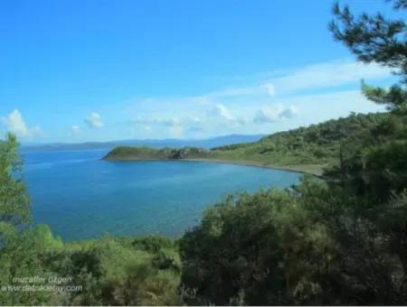 Seaside 4500M2 Suitable Land For Sale In Alavara Neighborhood Of Datça District