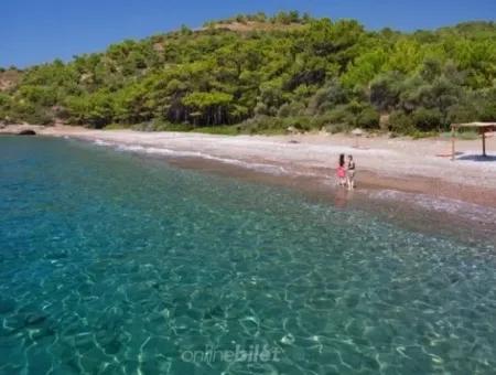 Built On A Plot Of 100000M2 For Sale In 60 Km From The Center Of Datca Holiday Village