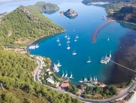 Marmaris İlçesi Orhaniye Köyünde Denize Sıfır 6000 M2 Satılık Koy