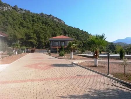 Marmaris İçinde 7000M2 Arsa Üzerine Kurulu 8 Oda Çiftlik Evi Havuz Mevcut