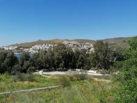 Bodrum Akyarlar Mevkisinde Denize Sıfır 4000M2 Turizm İmarlı Satılık Arsa