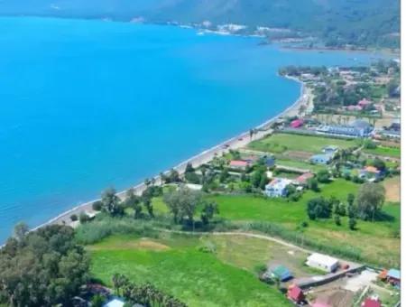 Marmaris Hisarönü Körfezinde 4000M2 Denize Sıfır Satılık Arsa