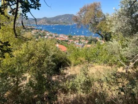 Marmaris Selimiye Mahallesinde Deniz Manzaralı 5200M2 Satılık Arsa 2 Villa Yapımına Yada Otel Yapımına Uygun Gayrimenkul